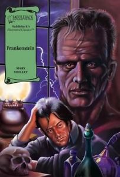 FRANKENSTEIN: GRAPHIC NOVEL SADDLEBACK ILLUSTRATED CLASSICS