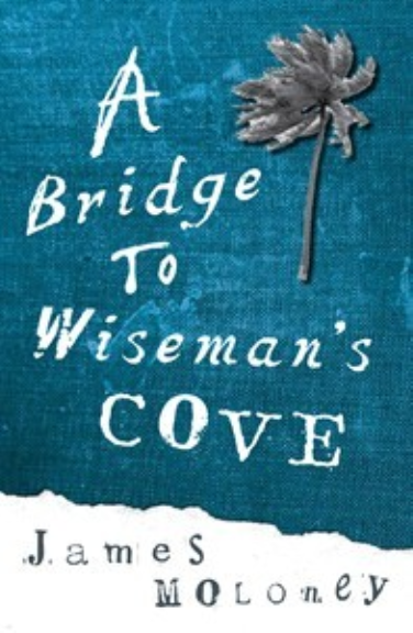 A BRIDGE TO WISEMAN'S COVE