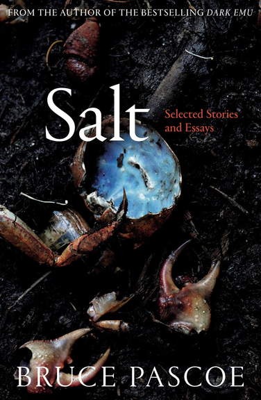 SALT: SELECTED STORIES AND ESSAYS