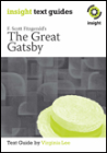 INSIGHT TEXT GUIDE: THE GREAT GATSBY