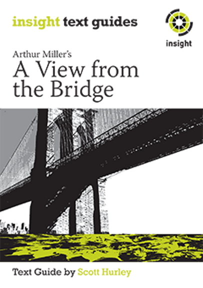 INSIGHT TEXT GUIDE: VIEW FROM A BRIDGE