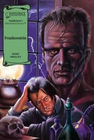 FRANKENSTEIN: GRAPHIC NOVEL SADDLEBACK ILLUSTRATED CLASSICS