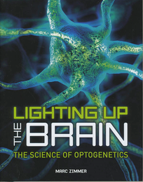 LIGHTING UP THE BRAIN