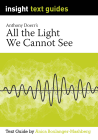 INSIGHT TEXT GUIDE: ALL THE LIGHT WE CANNOT SEE + EBOOK BUNDLE