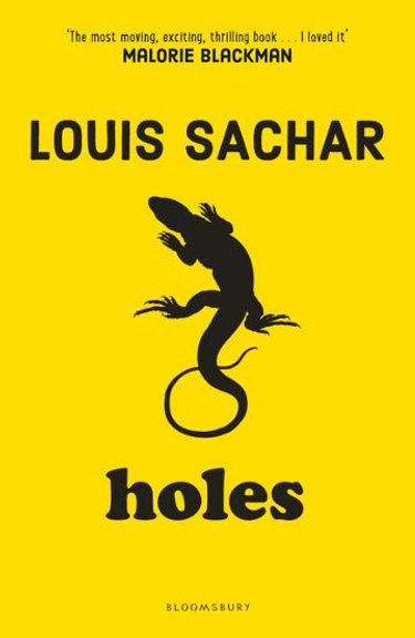 buy-book-holes-lilydale-books