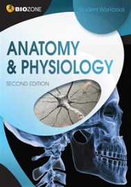 BIOZONE ANATOMY & PHYSIOLOGY STUDENT WORKBOOK 2E
