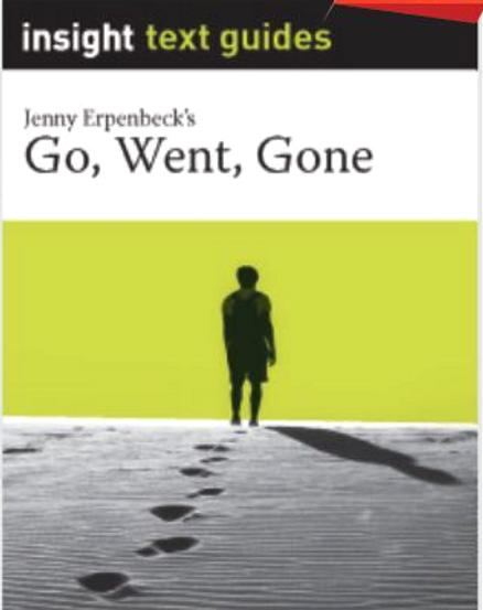 INSIGHT TEXT GUIDE: GO, WENT, GONE + EBOOK BUNDLE