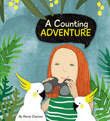 A COUNTING ADVENTURE (HARDBACK)