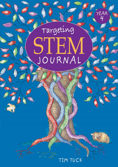 TARGETING STEM JOURNAL: YEAR 4