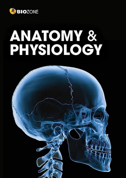 BIOZONE: ANATOMY AND PHYSIOLOGY STUDENT BOOK 3E