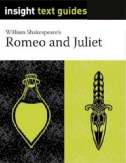 INSIGHT TEXT GUIDE: ROMEO AND JULIET 2E