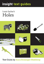 INSIGHT TEXT GUIDE: HOLES