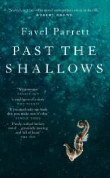 PAST THE SHALLOWS